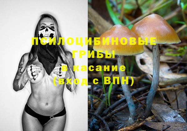 герыч Вязники