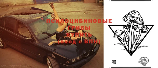 первитин Вяземский